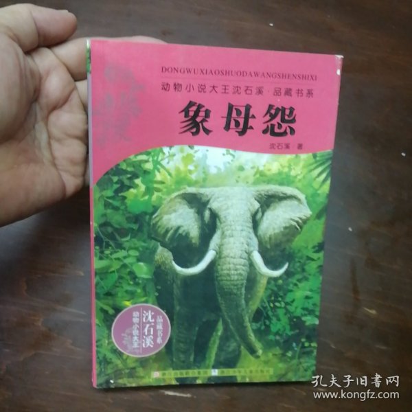 动物小说大王沈石溪.品藏书系：象母怨