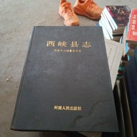 西峡县志