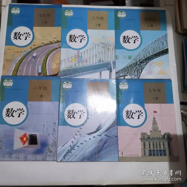 人教版初中数学6本