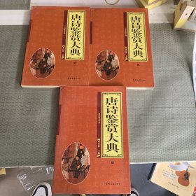 唐诗鉴赏大典（全三册）