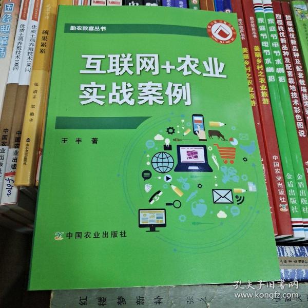 互联网+农业实战案例/助农致富丛书