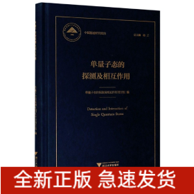 单量子态的探测及相互作用(精)/中国基础研究报告