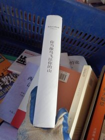 你当像鸟飞往你的山