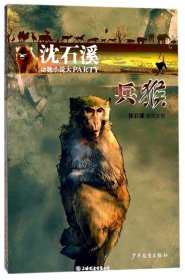沈石溪动物小说大PARTY:兵猴