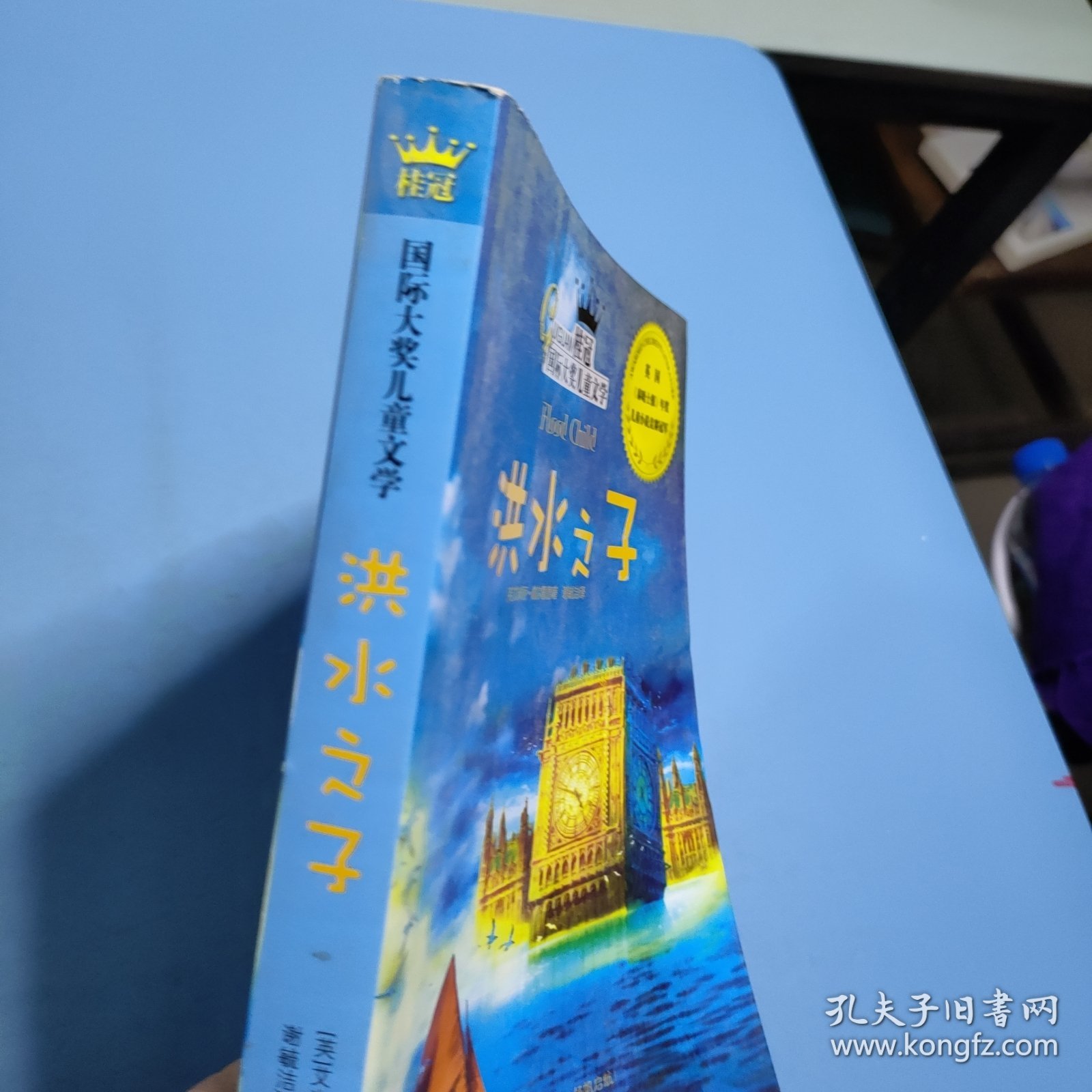 桂冠国际大奖儿童文学—洪水之子