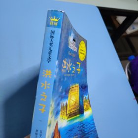 桂冠国际大奖儿童文学—洪水之子