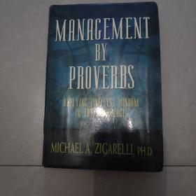 英文原版 Management by Proverbs by Michael Zigarelli 著