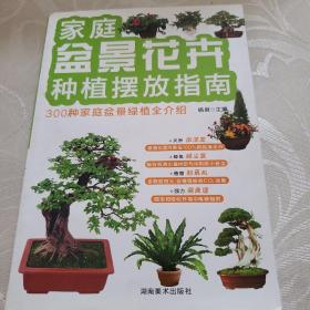 家庭盆景种植摆放指南