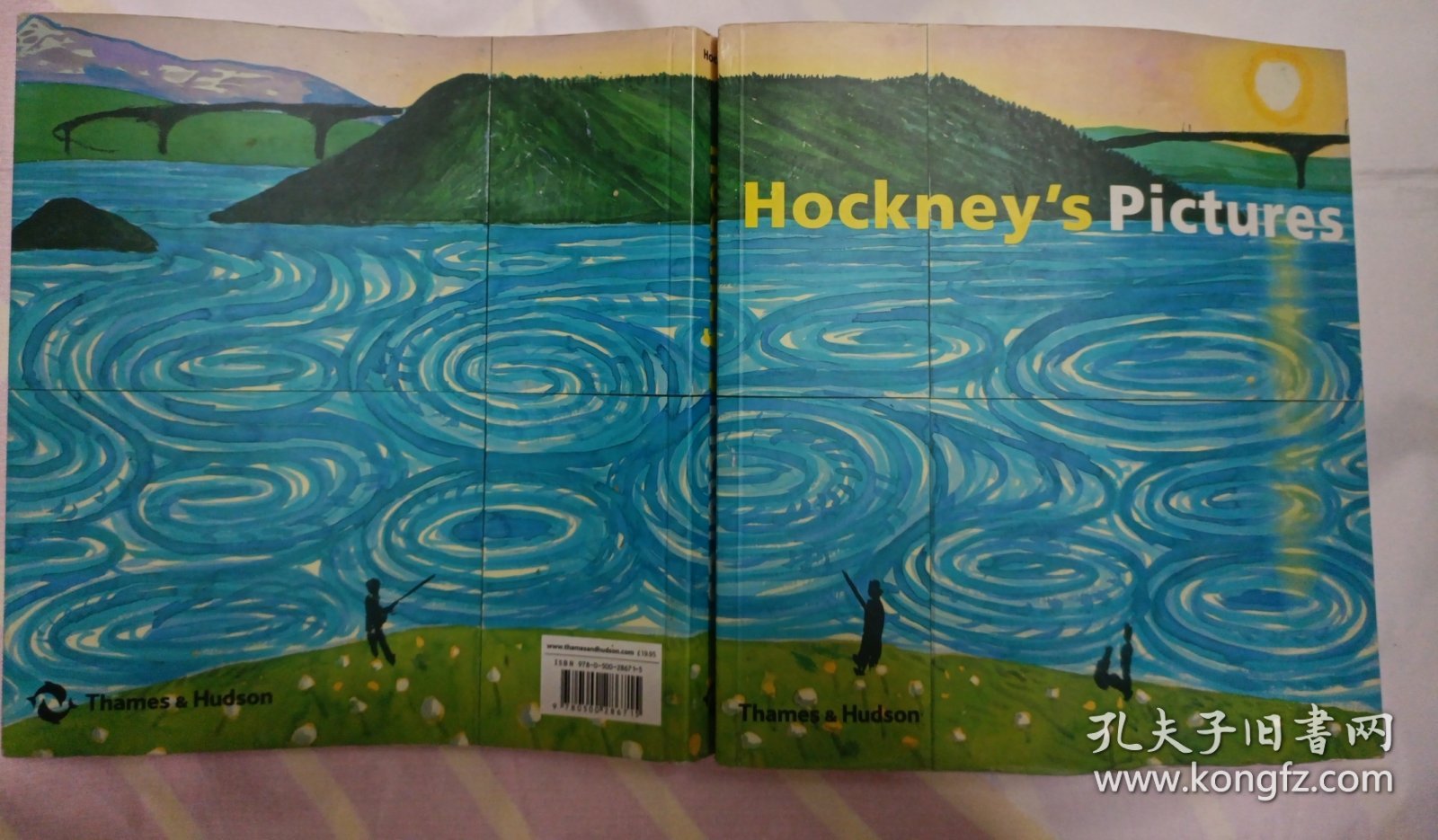 Hockney's Pictures（145—176页书脊有脱胶。请谨慎下单，售后不退，请勿议价，非诚勿扰。）塑柜四层