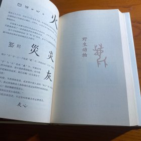 给孩子的汉字王国