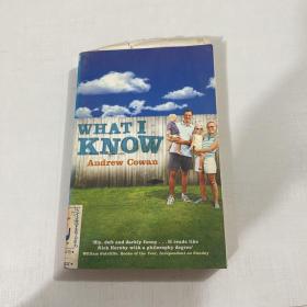 英文原版 what i know