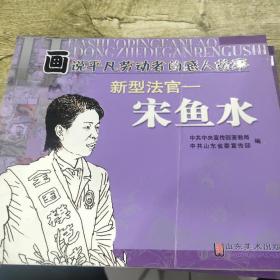 画说平凡劳动者的感人故事（新型法官:宋鱼水）