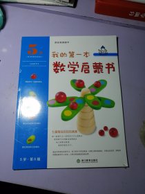 我的第一本数学启蒙书：七星瓢虫的加加减减（5岁第5级）【全新未拆封】