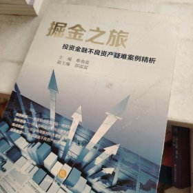 掘金之旅：投资金融不良资产疑难案例精析