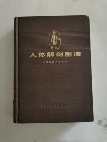 人体解图谱（精装）