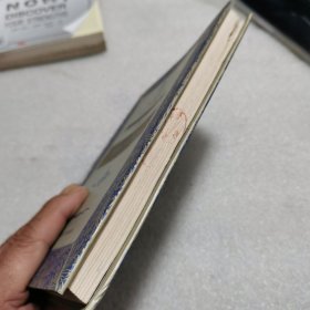 少年维特之烦恼 最后的礼花 世界文学名著百部