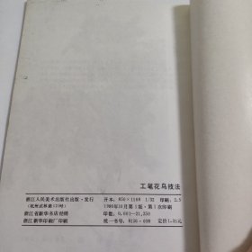 工笔花鸟技法 V533