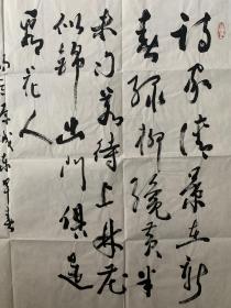 沙宁，原名沙裕珍，别号辽东老果农，生于1927年5月，辽宁普兰店人。1947年秋入国立东北大学矿冶系就学。北京市书法家协会会员，中国老年书画研究会创作研究员、北京中山书画社顾问。自幼练习书法，前追二王，兼及李北海、颜真卿等书法大家的行草，融诸家笔意形成自己的行草风格，遒劲而不失洒脱，随意而不失端庄。学习书法初临柳公权，颜真卿楷书，后学赵孟頫行书。曾得肖劳、王遐举等名家指点。