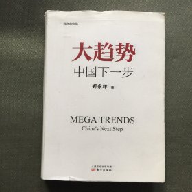 大趋势 中国下一步