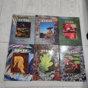 叶子的奥秘，能量的奥秘，气泡的奥秘，色彩的奥秘，岩石的奥秘，雨的奥秘 共6本合售