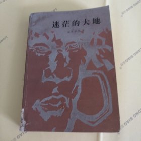 迷茫的大地