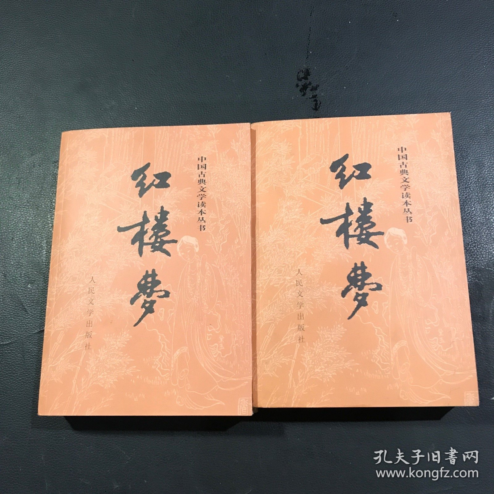 红楼梦（上下册）