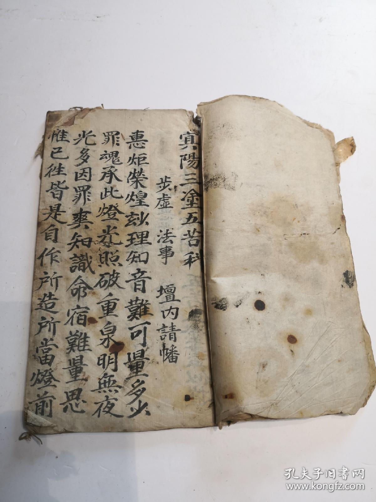 宜阳三金五苦科～csy