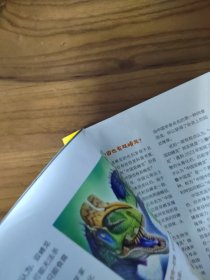 博物 2024年7月 总第247期