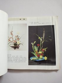 知识画库 实用园艺系列:花篮、插花【两册合售】
