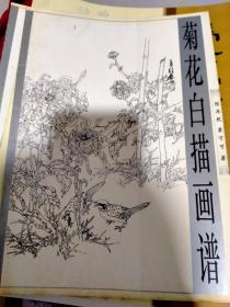 菊花白描画谱