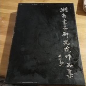 湖南书画研究院作品集（全11册）带外函