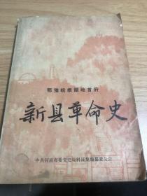 新县革命史