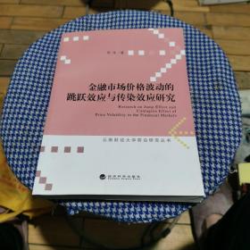 云南财经大学前沿研究丛书：金融市场价格波动的跳跃效应与传染效应研究