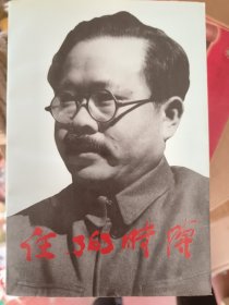 任弼时传 中央文学出版社