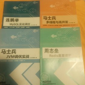 周志垒Redis底层详解、连鹏举MySQL实战调优、马士兵多线程与高并发、马士兵（JVM调优实战） 共4本合售