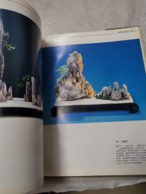 中国盆景佳作欣赏与技艺