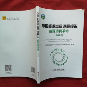 中国能源革命进展报告：能源消费革命（2023）