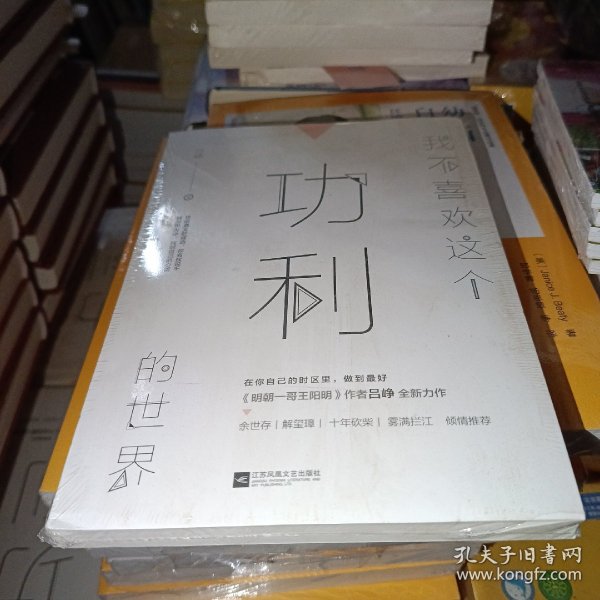 我不喜欢这个功利的世界（明朝一哥王阳明作者吕峥全新力作）