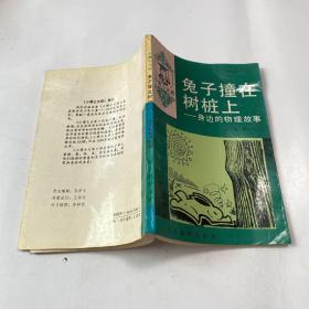 兔子撞在树桩上——身边的物理故事