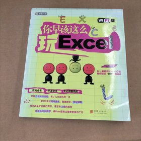 你早该这么玩excel（WiFi版）