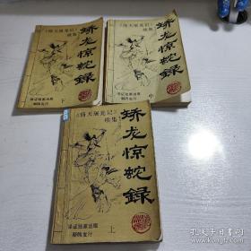 《矫龙惊蛇录》全上中下三册