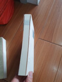 一个人的村庄