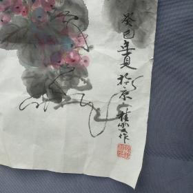 孙桂云  画葡萄