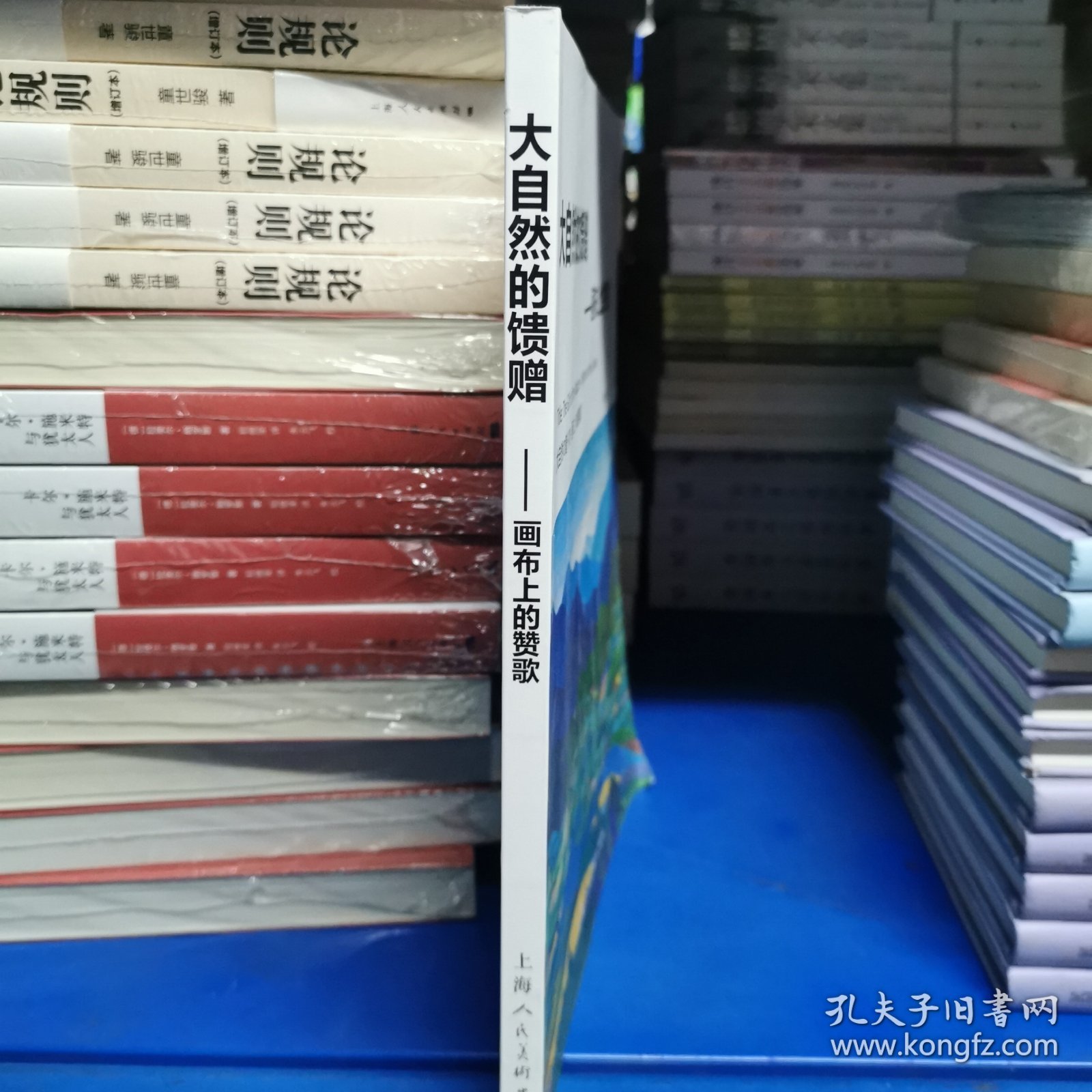 大自然的馈赠—画布上的赞歌
