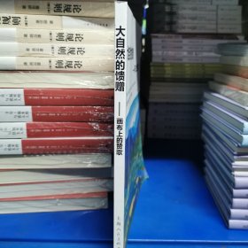 大自然的馈赠—画布上的赞歌