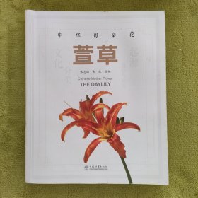 中华母亲花：萱草