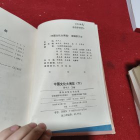 中国文化大博览 中下（两册合售）