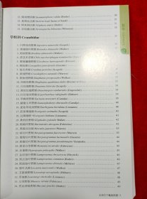 北京灯下蛾类图谱