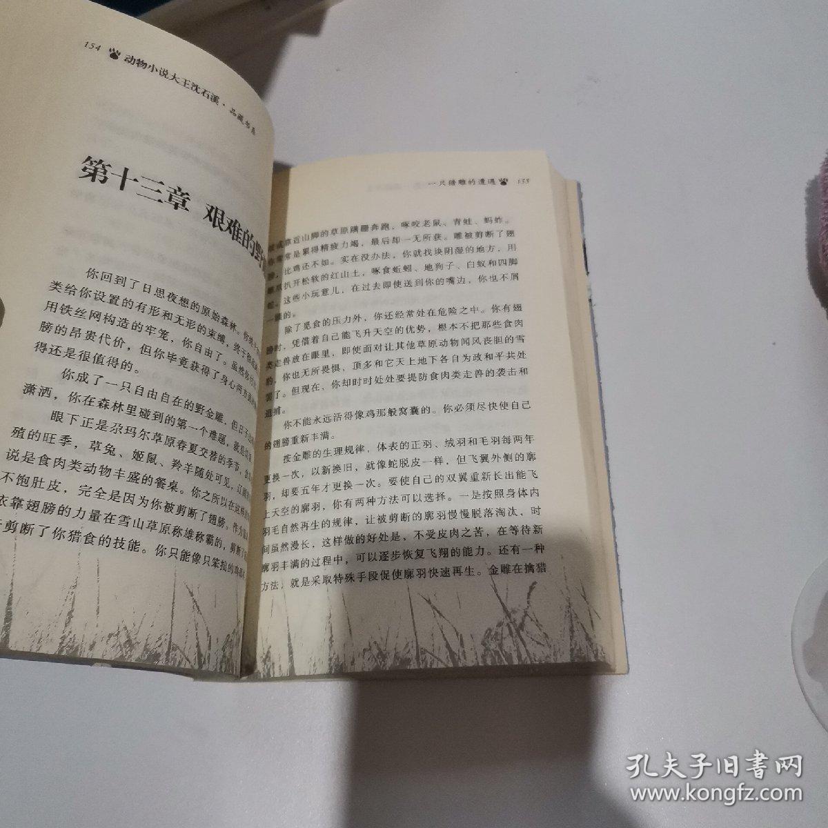 动物小说大王沈石溪：王妃黑叶猴