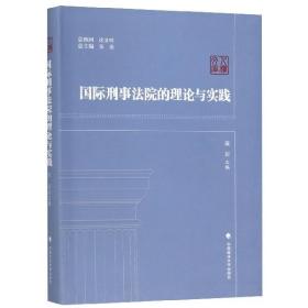 国际刑事法院的理论与实践